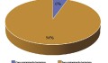 Figura 1: Percentual de contaminação bacteriana observado depois de 48 h de incubação do remanescente do ácido hialurônico armazenado.